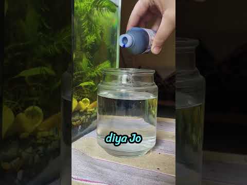 meri guppy fish ko kya huva 😢 #shorts #ytshorts #aquarium #guppy #fish