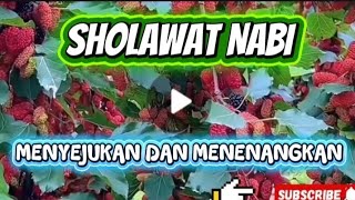 Download lagu '🔥 SHOLAWAT NABI PALING MERDU! Menenangkan Hati & Menyejukkan Jiwa – Bikin Nangis Rindu Rasulullah 😭 mp3 Download lagu '🔥 SHOLAWAT NABI PALING MERDU! Menenangkan Hati & Menyejukkan Jiwa – Bikin Nangis Rindu Rasulullah 😭 mp3