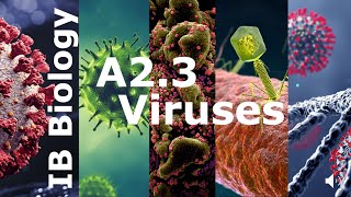 IB Biology – A2.3 Viruses