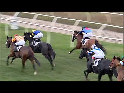 Napoli Galoppo 22/12/2022 - 4ª corsa