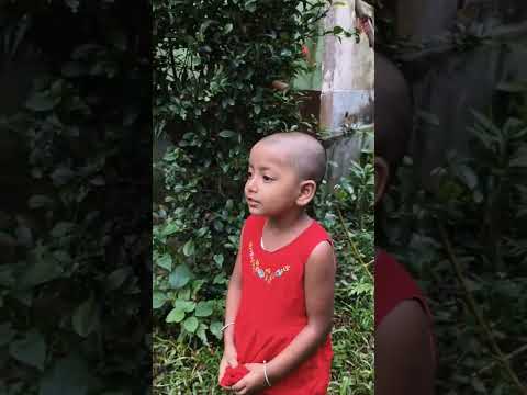 Do you know these flowers?#shorts #foryou