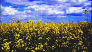 Holes In My Shoes - The Abrahams