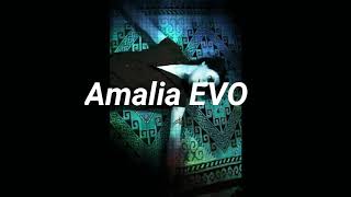 Download lagu Amalia  Evo mp3