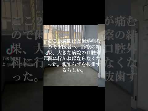 日本文化学科 奥歯が痛むので歯医者へ行ったら