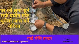 पशुको थुनेलो जाच गर्ने सजिलो तरिका !!