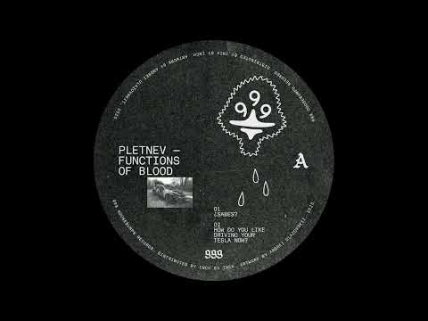 ✧ Pletnev ✧ Functions of Blood (Trancesetters of Westphalia remix)