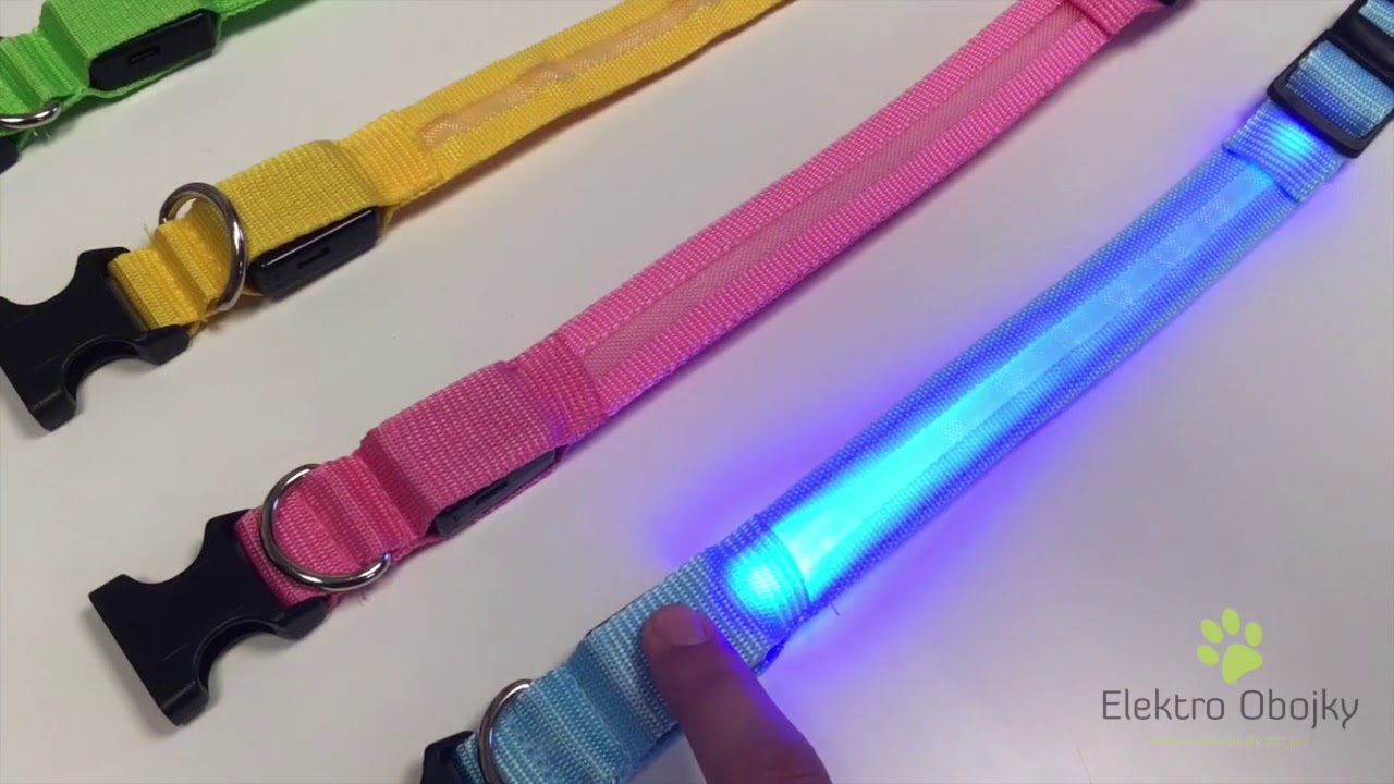 Hundehalsband Leuchtend, led halsband, leuchthalsband fr hunde -  Elektro-Halsbander.de