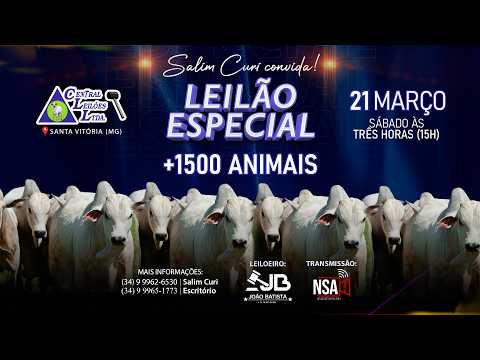 🌾  Leilão Especial Carga Fechada  - Central Leilões - Santa Vitória (MG) - 21 de MARÇO