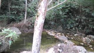 preview picture of video 'Ulu Chepor River, P1, Chepor, Perak'