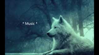 Skylar Grey ft. X Ambassador - Cannonball (Lyrics)