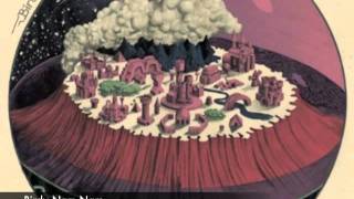 Birdy Nam Nam - Goin' in (Bad Dancer Remix)