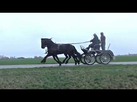 span Veerle en Fenna