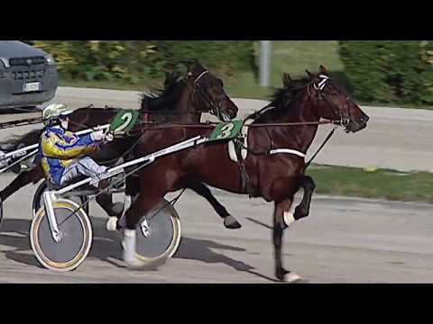Aversa trotto 12 Febbraio 2020 - 1° Corsa