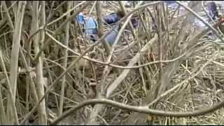 Fishing for Great Times