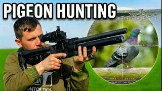Feral Pigeon Hunting with the Epic TWO & DNT ZULUS!