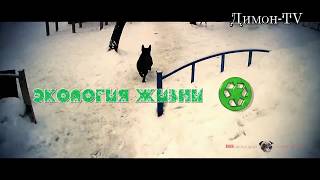 Начнем сегодня и с себя