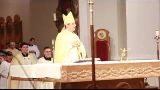 Du bist ein Depp und bleibst ein Depp