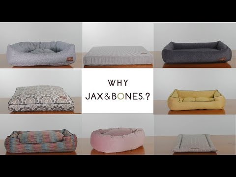 Why Jax & Bones