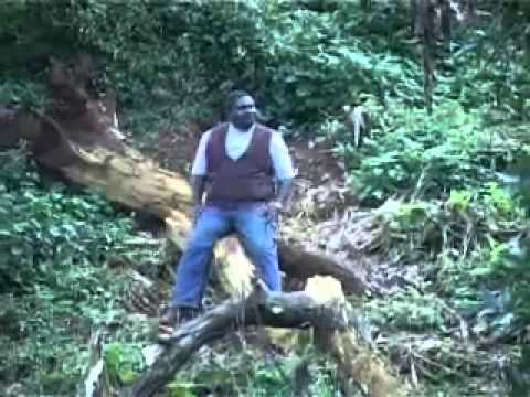 Lucius Banda - mtengo mtengo