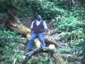 Lucius Banda Mtengo Mtengo