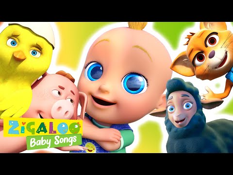 🐾🎶 Animals Song for Toddlers - Sing & Play with Johny & Friends! | Zigaloo Baby Songs 🌈💕