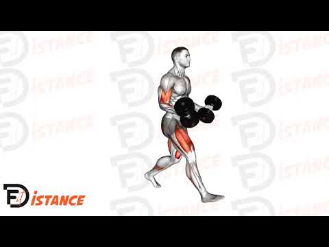 Fente avec haltères et curl biceps - Exercice Fente avec haltères et curl biceps en vidéo