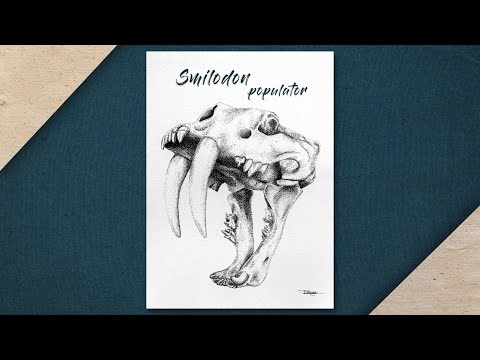 how I made this illustration | SMILODON POPULATOR #smilodon #inkart