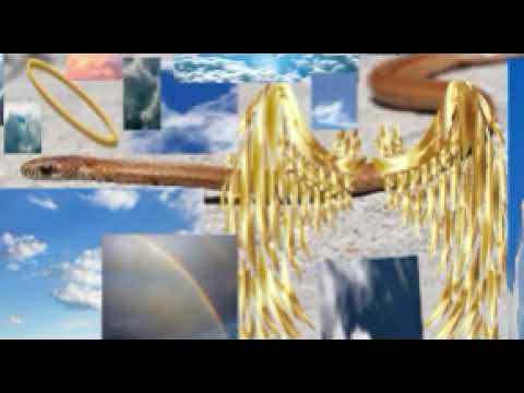 The reason why I didn't upload in a while (Read the description to find out why). :(