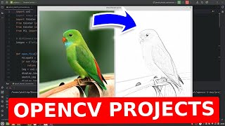 Download the video "20 computer vision projects with Python and OpenCV"