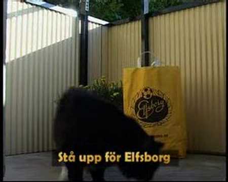 Stå upp för Elfsborg!