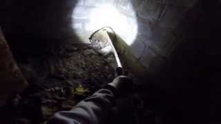 preview picture of video 'removing Raccoon from Crawl Space in White Plains NY,'