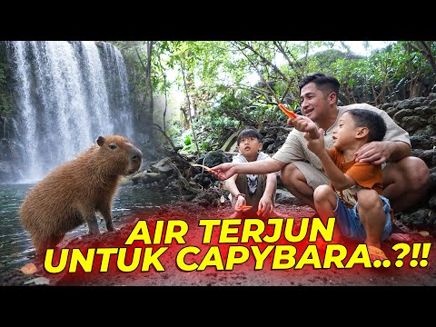 AUTO BENGONG..!! PERTAMA KALI JUNET MASUK DI KERAJAAN BARU..!!