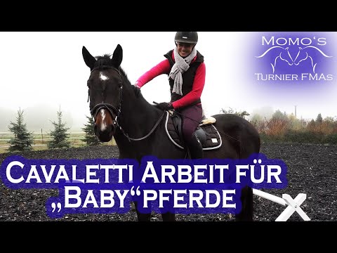 CAVALETTI Arbeit für junge Pferde | Trainingstipps Reiten