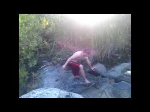 Francisco al agua owned