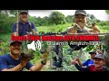 SUARA PIKAT ANDALAN JAYA CHANNEL Kutilang Ribut Kombinasi Suara Burcil Mp3 DiJamin Paling Ampuh100