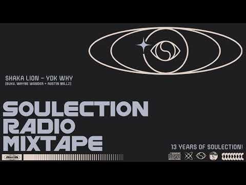 SHAKA LION - YDK WHY (buju, wayne wonder + austin millz) [Official Visualizer]