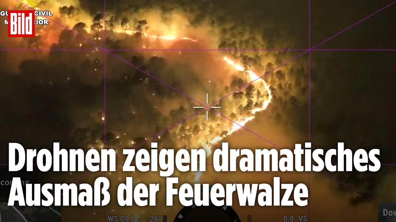 Waldbrände in Südeuropa: Landstriche werden zu Ruinen – Drohnenbilder zeigen Ausmaß der Zerstörung