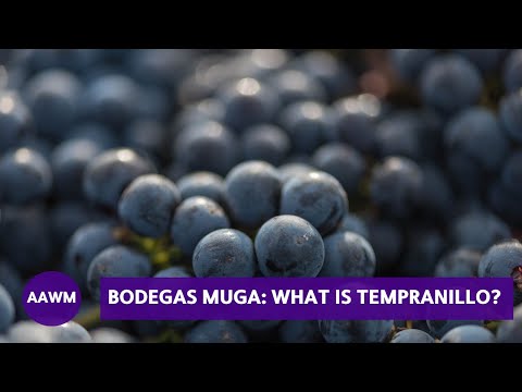 download lagu mp3 mp4 Tempranillo Grenache Blend, download lagu Tempranillo Grenache Blend gratis, unduh video klip Tempranillo Grenache Blend