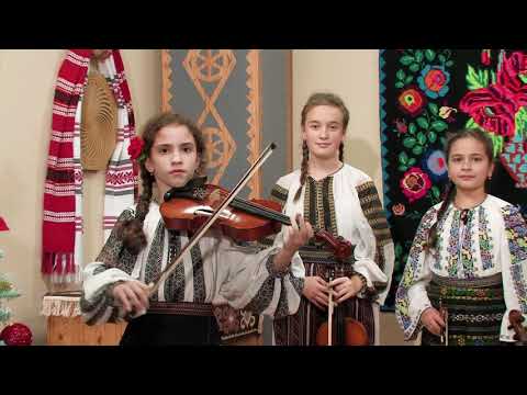 Tania Galbenu - Sarba lui Ion Albesteanu