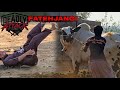 Kashif Cattle Farm Out Of Control Bulls Allah Ne Bacha Liya Cow Mandi 2026 Bakra Mandi 2026