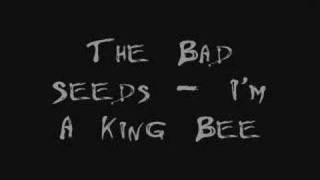 The Bad Seeds - I&#39;m A King Bee