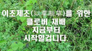 나의 치부를 드러내고 올린 영상 이초제초(以草制草) 초생재배 - 과원 풀관리... 풀로써 풀을 잡는다.