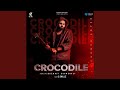 Crocodile