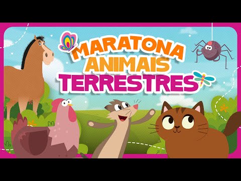 MARATONA ANIMAIS TERRESTRES 🐷 O Show da Luna!
