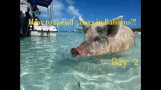[4K] How to spend 5 days in Bahamas - Day 2