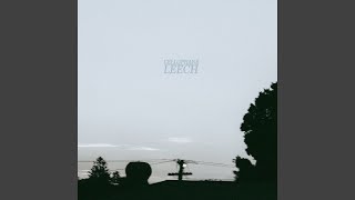 Leech