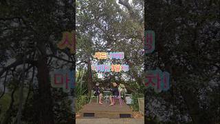 호주워홀 | 3년차 워홀러 | 시드니여행 7일차