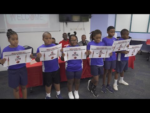 Motivational stickers launched to inspire cricketers