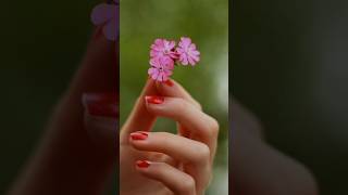 Download lagu April maathathil (Tamilsong) English version #deva #harini #ajith #simran #vaali #tamilsong #songs mp3 Download lagu April maathathil (Tamilsong) English version #deva #harini #ajith #simran #vaali #tamilsong #songs mp3