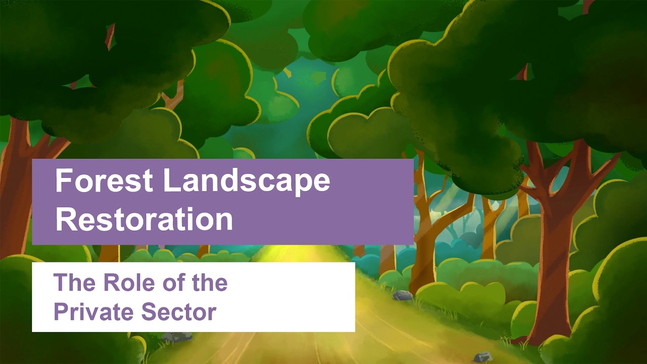 Restoring Together: Private Partnerships for the Future